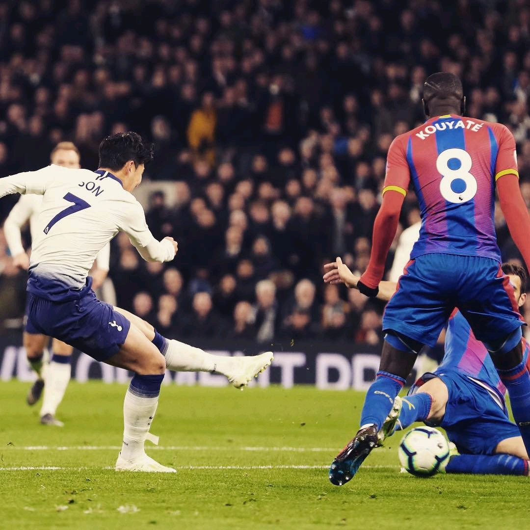 迷关注的焦 迷关注的焦